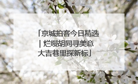 京城拍客今日精选｜烂缦胡同寻美意 大吉巷里探新标