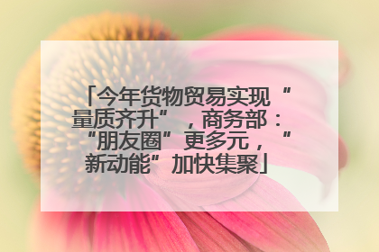 今年货物贸易实现“量质齐升”，商务部：“朋友圈”更多元，“新动能”加快集聚
