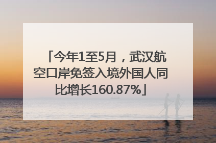 今年1至5月，武汉航空口岸免签入境外国人同比增长160.87%