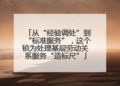 从“经验调处”到“标准服务”，这个镇为处理基层劳动关系服务“造标尺”