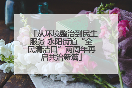 从环境整治到民生服务 永阳街道“全民清洁日”两周年再启共治新篇