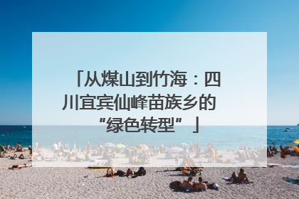 从煤山到竹海：四川宜宾仙峰苗族乡的“绿色转型”