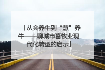 从会养牛到“慧”养牛——聊城市畜牧业现代化转型的启示