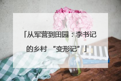 从军营到田园：李书记的乡村 “变形记”