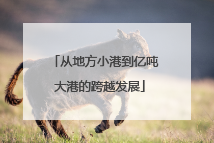 从地方小港到亿吨大港的跨越发展