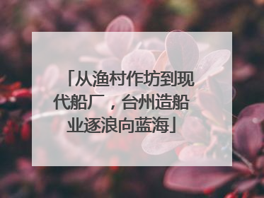 从渔村作坊到现代船厂，台州造船业逐浪向蓝海