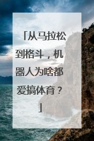 从马拉松到格斗，机器人为啥都爱搞体育？