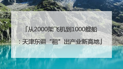 从2000架飞机到1000艘船：天津东疆“租”出产业新高地