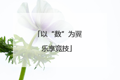 以“数”为翼 乐享竞技