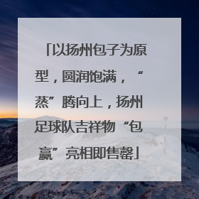 以扬州包子为原型，圆润饱满，“蒸”腾向上，扬州足球队吉祥物“包赢”亮相即售罄