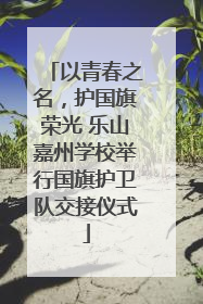 以青春之名，护国旗荣光 乐山嘉州学校举行国旗护卫队交接仪式