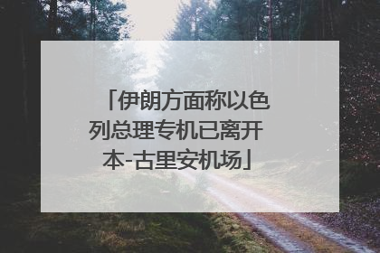 伊朗方面称以色列总理专机已离开本-古里安机场