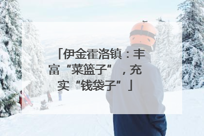 伊金霍洛镇：丰富“菜篮子”，充实“钱袋子”