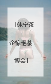 休宁茶企惊艳茶博会