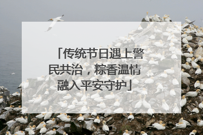 传统节日遇上警民共治，粽香温情融入平安守护
