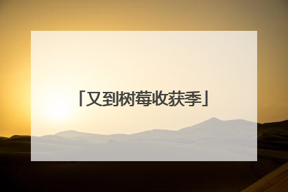又到树莓收获季