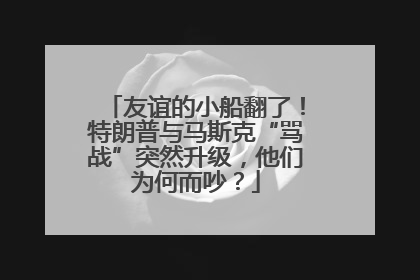 友谊的小船翻了！特朗普与马斯克“骂战”突然升级，他们为何而吵？