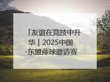 友谊在竞技中升华｜2025中国-东盟藤球邀请赛开赛 贵州惠水燃动“空中芭蕾”