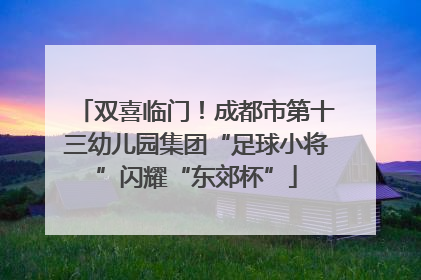 双喜临门！成都市第十三幼儿园集团“足球小将”闪耀“东郊杯”