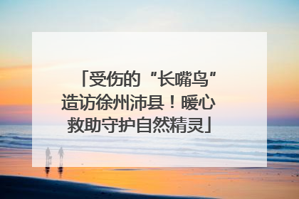 受伤的“长嘴鸟”造访徐州沛县！暖心救助守护自然精灵
