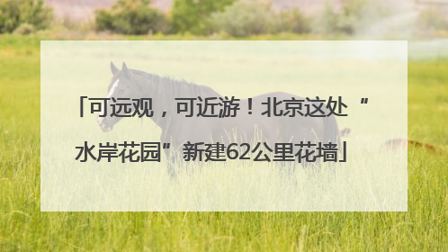 可远观，可近游！北京这处“水岸花园”新建62公里花墙