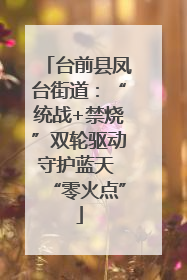 台前县凤台街道：“统战+禁烧”双轮驱动守护蓝天 “零火点”