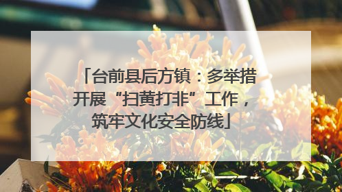 台前县后方镇：多举措开展“扫黄打非”工作，筑牢文化安全防线