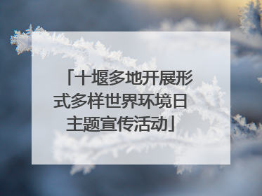 十堰多地开展形式多样世界环境日主题宣传活动
