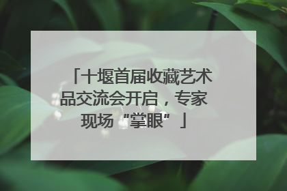 十堰首届收藏艺术品交流会开启，专家现场“掌眼”