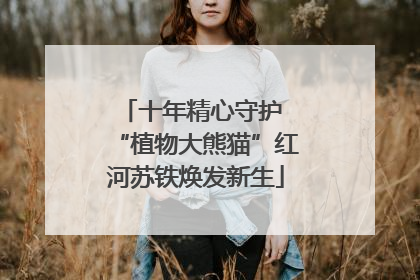 十年精心守护 “植物大熊猫”红河苏铁焕发新生