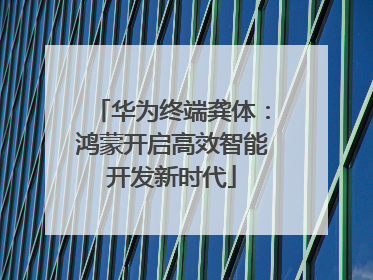 华为终端龚体：鸿蒙开启高效智能开发新时代