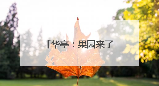 华亭：果园来了“田秀才”树上结出“金果果”