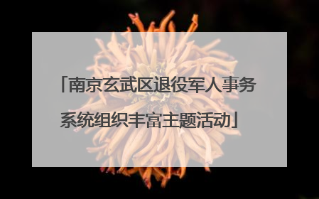 南京玄武区退役军人事务系统组织丰富主题活动