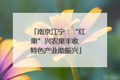 南京江宁：“红果”兴农果丰收 特色产业助振兴