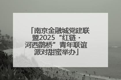 南京金融城党建联盟2025“红链・河西鹊桥”青年联谊派对甜蜜举办