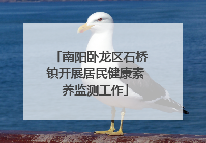 南阳卧龙区石桥镇开展居民健康素养监测工作