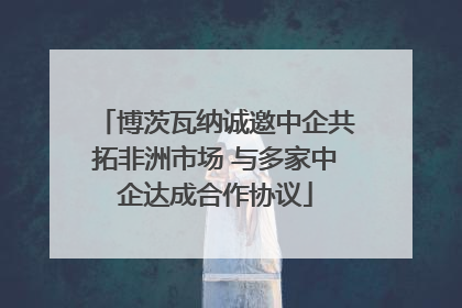 博茨瓦纳诚邀中企共拓非洲市场 与多家中企达成合作协议