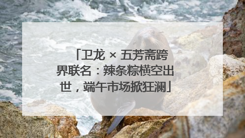 卫龙 × 五芳斋跨界联名：辣条粽横空出世，端午市场掀狂澜