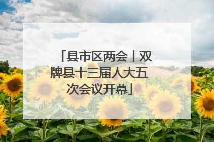 县市区两会丨双牌县十三届人大五次会议开幕