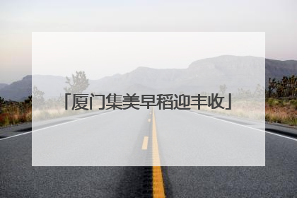 厦门集美早稻迎丰收