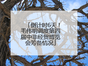 倒计时6天！毛伟明调度第四届中非经贸博览会筹备情况