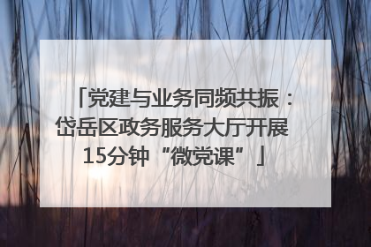党建与业务同频共振：岱岳区政务服务大厅开展15分钟“微党课”