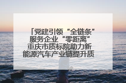 党建引领“全链条” 服务企业“零距离” 重庆市质标院助力新能源汽车产业链提升质量管理水平