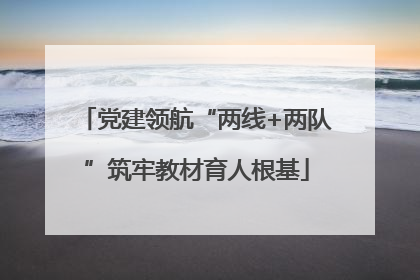 党建领航“两线+两队”筑牢教材育人根基