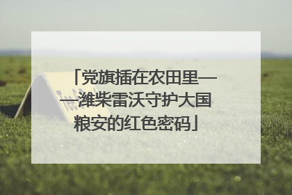 党旗插在农田里——潍柴雷沃守护大国粮安的红色密码