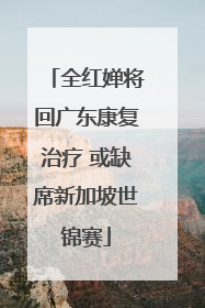 全红婵将回广东康复治疗 或缺席新加坡世锦赛