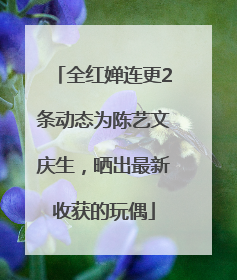 全红婵连更2条动态为陈艺文庆生，晒出最新收获的玩偶