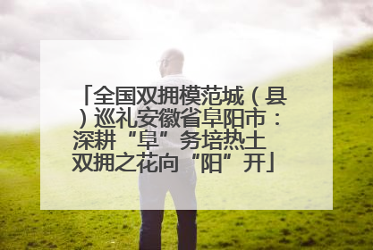 全国双拥模范城（县）巡礼安徽省阜阳市：深耕“阜”务培热土 双拥之花向“阳”开
