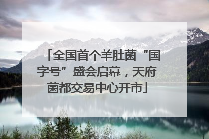 全国首个羊肚菌“国字号”盛会启幕，天府菌都交易中心开市