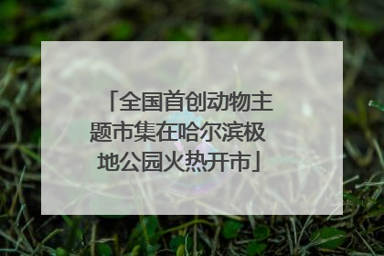 全国首创动物主题市集在哈尔滨极地公园火热开市